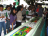 Aniversários do Jardim Zoológico (2007-2023)