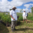 Vencedores Plantando o Futuro (2023-2024)