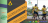 Promulgada lei que institui a Corrida do Servidor no calendário oficial de eventos do DF